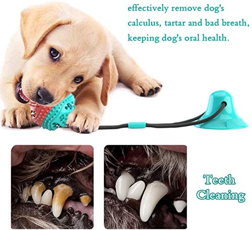Suction Cup Dog Toy, Pet Molar Bite Toy, Dog Chew Toys, Interactive Pet Treat Ball for Chewers and Toothbrush, Dog Multifunction Interactive Ropes Toys - PawsPlanet Australia