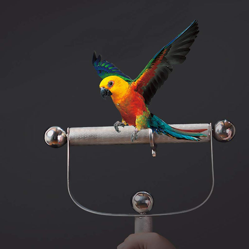 [Australia] - Stainless Steel Bird Parrot Perch Stand Platform Scratching Stick Outdoor Handheld Standing Frame Bird Grinding Claws Frame for Macaw African Grey Budgies Parakeet S 