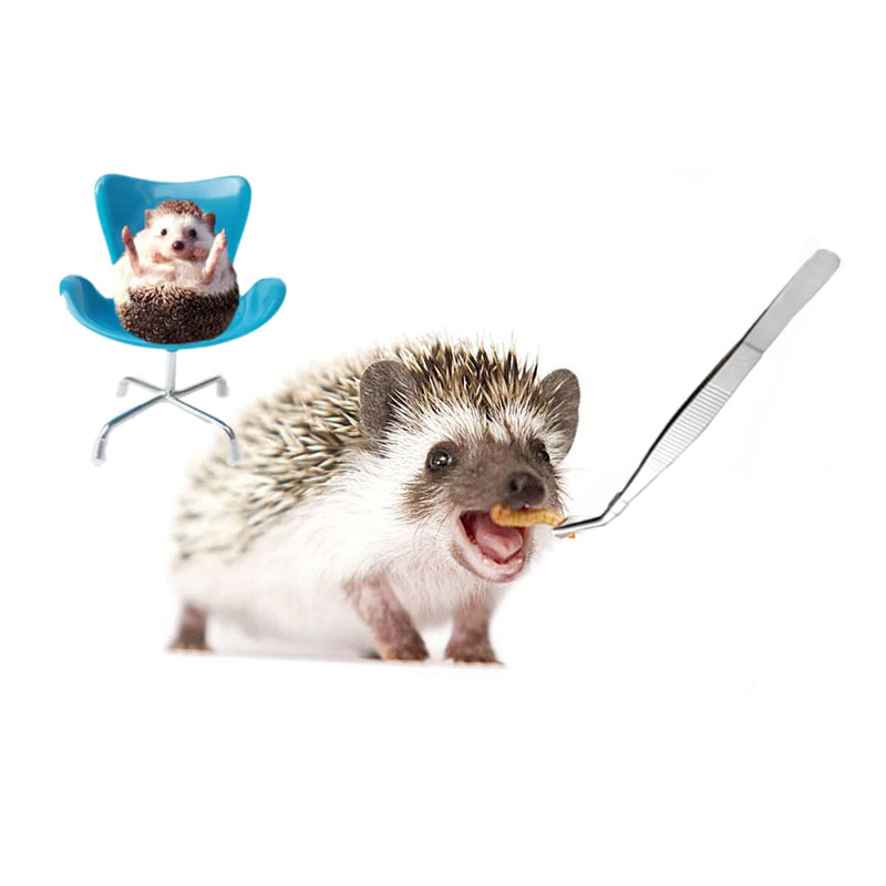 Hedgehog Supplies, Hedgehog Mini Chair Toy with Feeding Tongs, Plastic Armchair Photography Props, Small Animal Hamster Toys for Cage,Hedgehog Accessories - PawsPlanet Australia