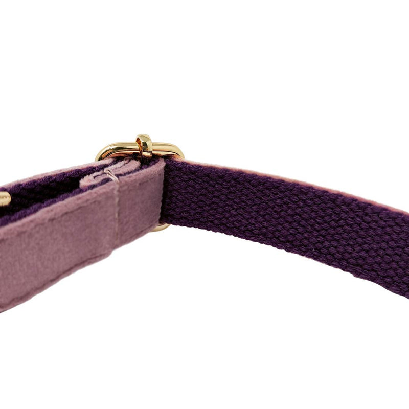 Animal Outfitters UK Velvet Collection Vegan | Pink and Gold Dog | Puppy Collar | Adjustable for Small or Large Dogs (X-Small) X-Small - PawsPlanet Australia