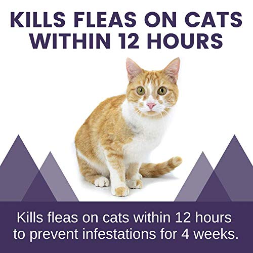 Adventure Plus Flea Prevention for Cats - Topical Flea Treatment for Cats (9+ lbs) Pack of 8 - PawsPlanet Australia