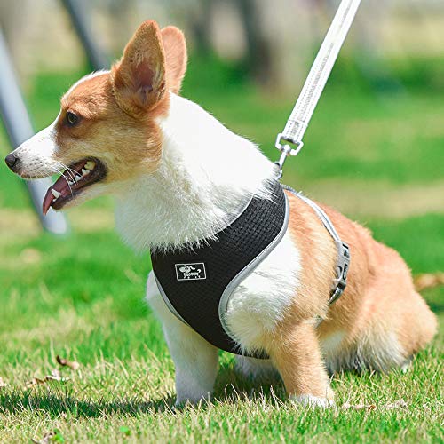 [Australia] - Grneric Small Dog Harness,Djustable Pet Reflective Vest and Leash Lead Set,No Pull Soft Mesh Breathable Fit Puppy and Cat Easy Control Universal Harness XS Black 