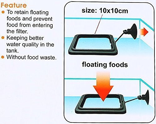 Fish Feeding Square Aquarium Fish Tank Ring Feeder Floating Food Circle 10cm - PawsPlanet Australia