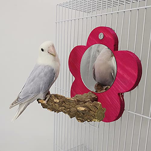 MKubwaa Bird Mirror Toy with Perch Stand for Cage, Parrot Hanging Cage Play Toy Bird Prickly Ash Wood Perches for Parakeets Cockatiels Conure Budgies Lovebirds Finch Canary African Grey Cockatoo Rose Red - PawsPlanet Australia