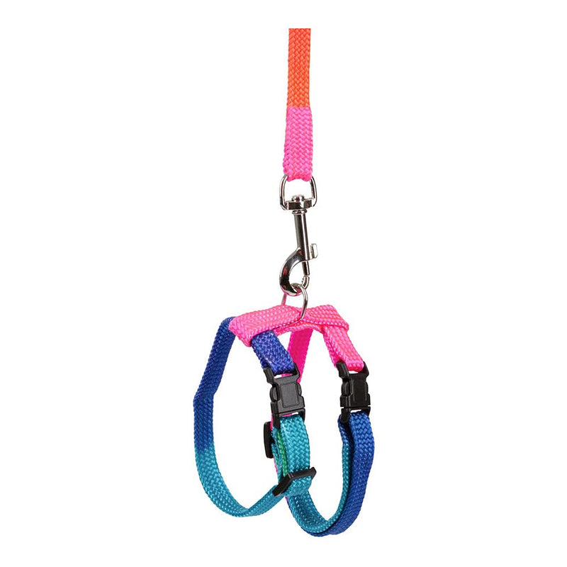 Harnesses for Rabbits, Assorted Colours - PawsPlanet Australia
