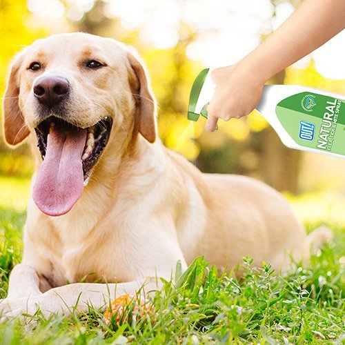 OUT! Natural Pest Wash Shampoo and Conditioner for Dogs, 500 ml - PawsPlanet Australia