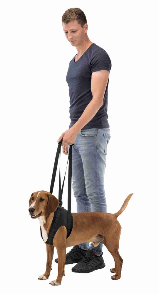 Trixie Walking Aid, Large/X-Large, 75-85 cm, Black - PawsPlanet Australia