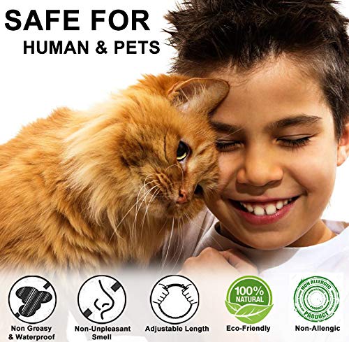 PROZADALAN Cat Flea and Tick Collar, 100% Natural Ingredients, 8 Month Flea and Tick Treatment and Prevention, 35cm Adjustable & Waterproof, One Size Fit all Cats (2pack) 2pack - PawsPlanet Australia