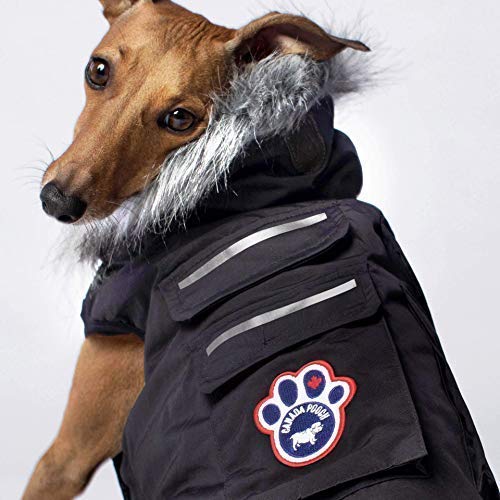 [Australia] - Canada Pooch | Everest Explorer Dog Jacket | Hooded Winter Dog Coat, Black, 12 (11-13" Back Length) 