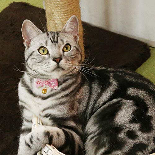 PetSoKoo Bowtie Chirimen Cat Collar With Bell. Japan Flower Bow Tie Style. Safety Breakaway & Light Weight, Soft, Comfortable, Durable Standard (6-13 inch,16-32cm) Sakura Pink - PawsPlanet Australia