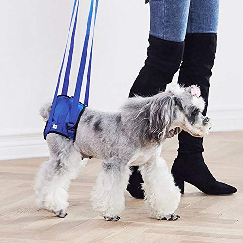 Dog Walking Lifting Carry Lift Support Harness Dog Sling Assist Belt Breathable Dog Mobility Recovery Sling for Hip Assist Stability Injured Disabled Arthritis Joint Pain Elderly(XXL) XXL - PawsPlanet Australia