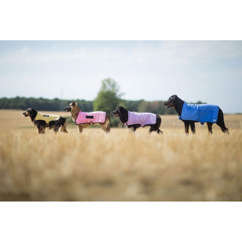 ANIMO CONCEPT Cooling Coat for Dogs - PawsPlanet Australia