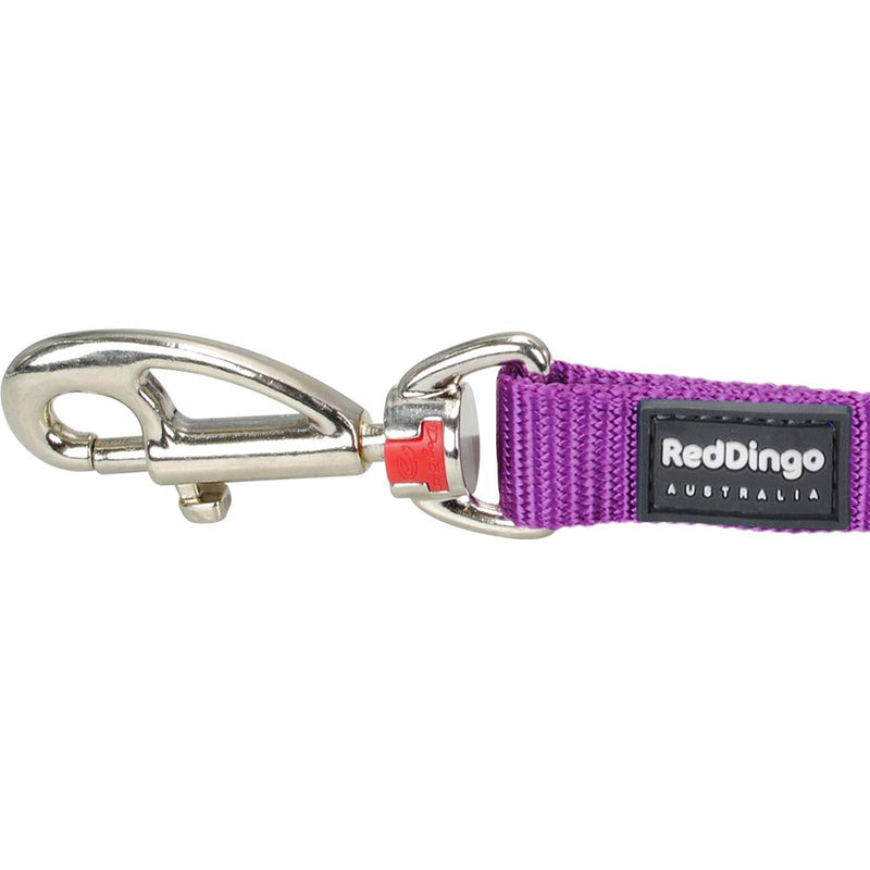 Red Dingo - smooth belt in purple Lead M - PawsPlanet Australia