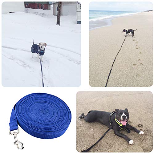 [Australia] - NACOCO Dog Extra Long Line Training Leash 26ft 40ft 50ft 65ft Durable Dog Pulling Rope Outdoor Lead-Perfect for Training Play Camping Blue 65ft/ 20m 