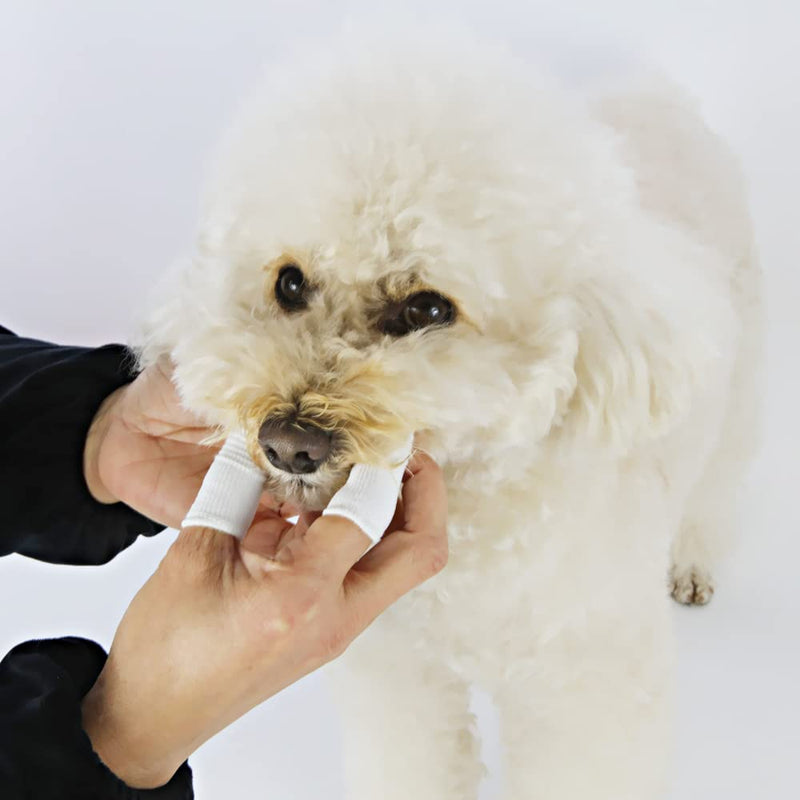 Fyfjur Dog Toothbrush, Pack of 10 Reusable Finger Toothbrush Dog Anti-Plaque, Efficient Finger Cots Dog Dental Care for Dental Care Dog Cats White - PawsPlanet Australia