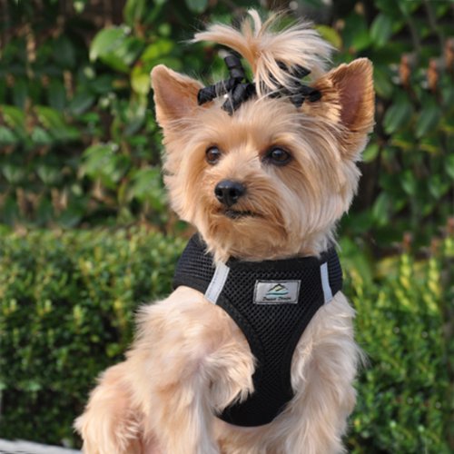 [Australia] - American River Ultra Choke Free Dog Harness-Black XXXL by Doggie Design 