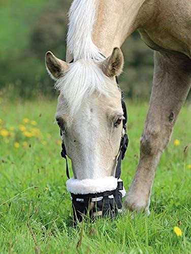 Shires Deluxe Nylon Grazing Muzzle-Black Extra Full - PawsPlanet Australia