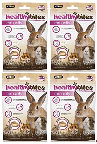 VetIQ HealthyBites for Small Animals Immunity Hamster Treats, 4x 30g, Echinacea Extract Supports Guinea Pig/s or Hamster/s Immune System, Guinea Pig Treats with Added Prebiotic Fibre Aids Digestion - PawsPlanet Australia
