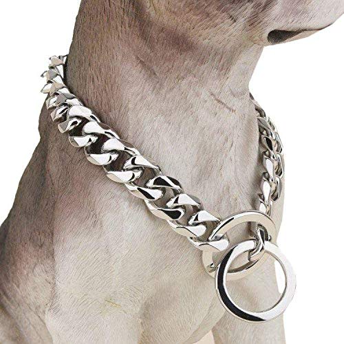 Silver Phantom Jewelry Designer Pitbull Dog Collar, 20mm Wide, 680 lbs, 24 Inch - Silver - PawsPlanet Australia