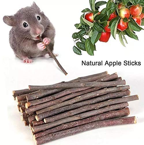 Supmaker Guinea Pigs Toys, 7Pack Natural Wooden Hamster Toys Accessories,Chinchillas Toys Accessories,Teeth Care Molar Toy for Birds Bunny Rabbits Gerbils Rats and Other Small Pets - PawsPlanet Australia