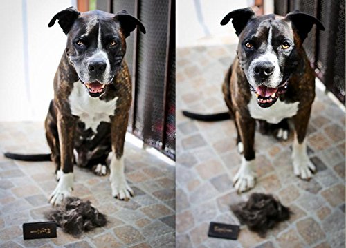 EzzyGroom Dog Brush Ezzy Cat Brush Fur Brush Hit Grooming Dog Comb - PawsPlanet Australia