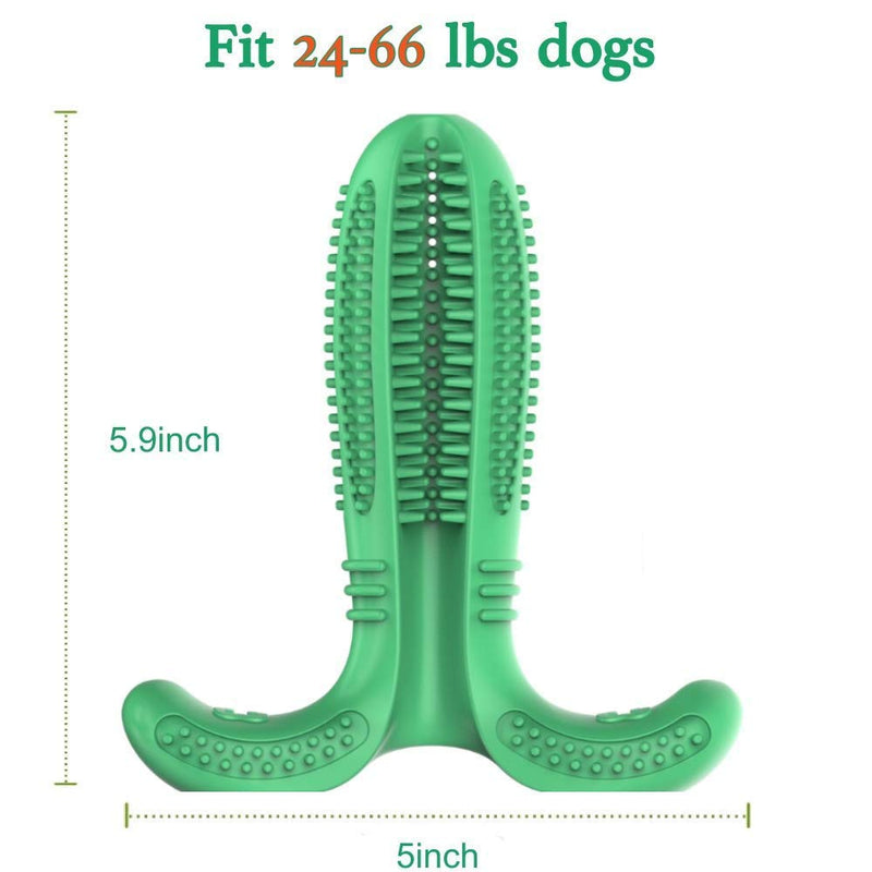 HJHY Dog Toothbrush Stick, Natural Rubber Bite Resistant Chew Toys for Dogs Pets Oral Care, Dental Care Brushing Stick for Large Dog and Small Dog(24-66 lbs), Effective Dog Teeth Cleaning Massager - PawsPlanet Australia