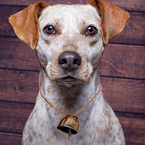 Copper Dog Bells, Metal Copper Bells, Copper Bells, Small Brass Bells, for Cow, Horse, Sheep, Cat, Small Pets, Anti-Theft, Pack of 5 Red Bronze - PawsPlanet Australia
