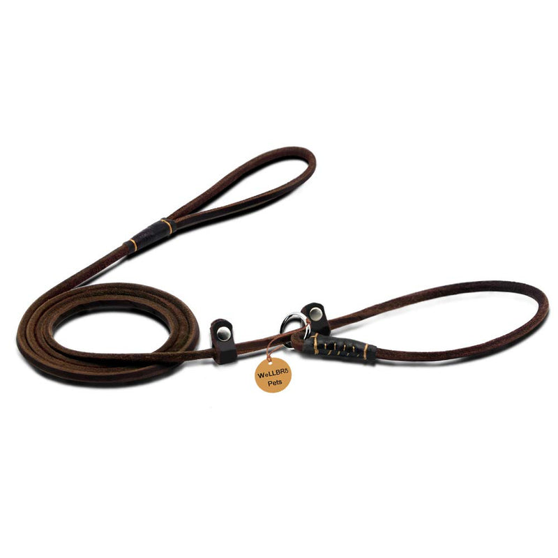 [Australia] - Wellbro Real Leather Slip Dog Leash, Super Thin and Adjustable Slip Lead, Soft and Slim, Suit for Puppies Small Dogs, 160cm Long by 0.6cm Wide, Brown 