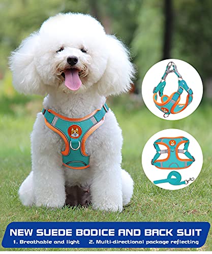 Dogs Harness Vest and Leash Antiescape Cat Chest Strap Pet Collar for Small Breeds Dog Accessories French Bulldog Chihuahua Blue S - PawsPlanet Australia