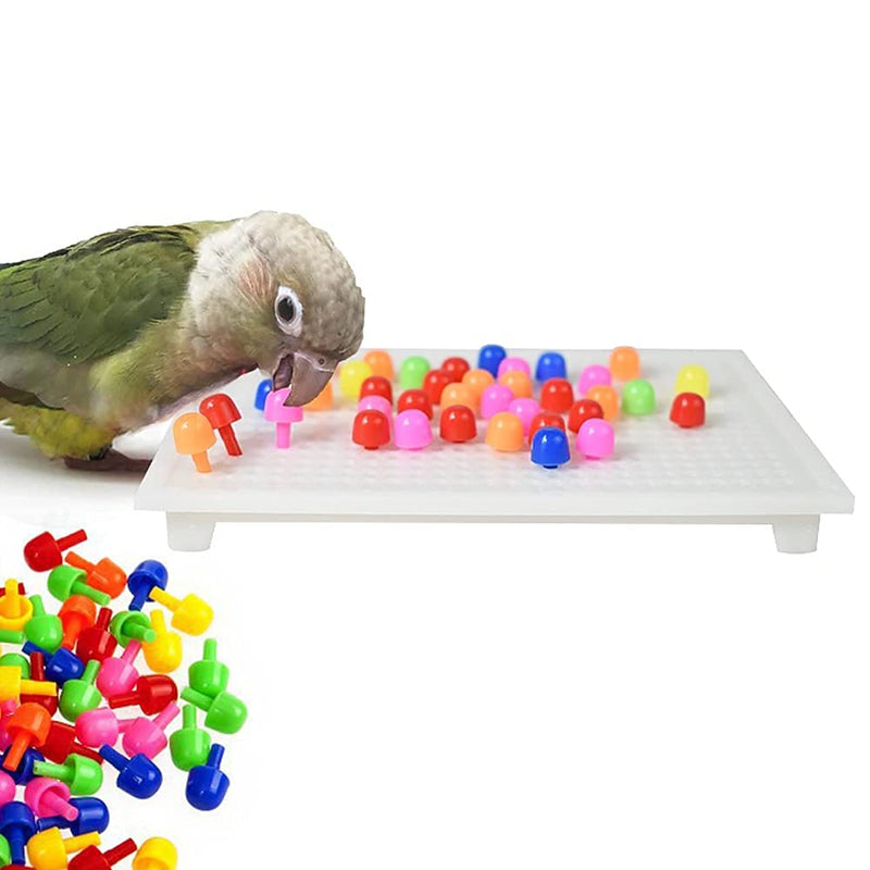 Silena Parrot Toy Bird Intelligence Training Toy, Parrot Toy for Parakeet Cockatiel Conure Budgie Small Size - PawsPlanet Australia
