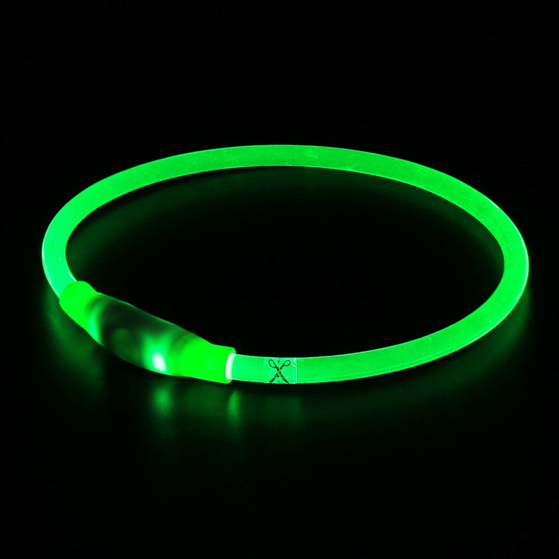 [Australia] - BSEEN LED Dog Collar, USB Rechargeable, Glowing pet Dog Collar for Night Safety, Fashion Light up Collar for Small Medium Large Dogs Neon Green 