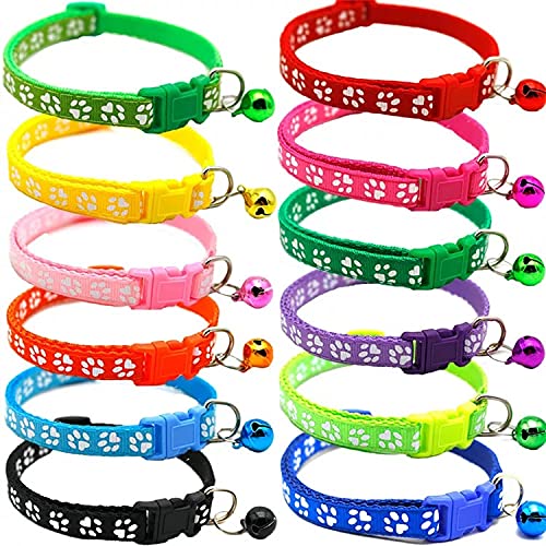 Cat Collar, Red - PawsPlanet Australia