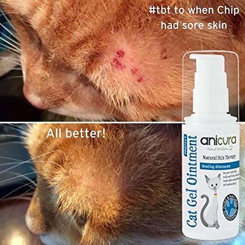 Anicura Natural Cat Gel Ointment for dry & itchy skin, hot spots, eczema & skin allergies - PawsPlanet Australia