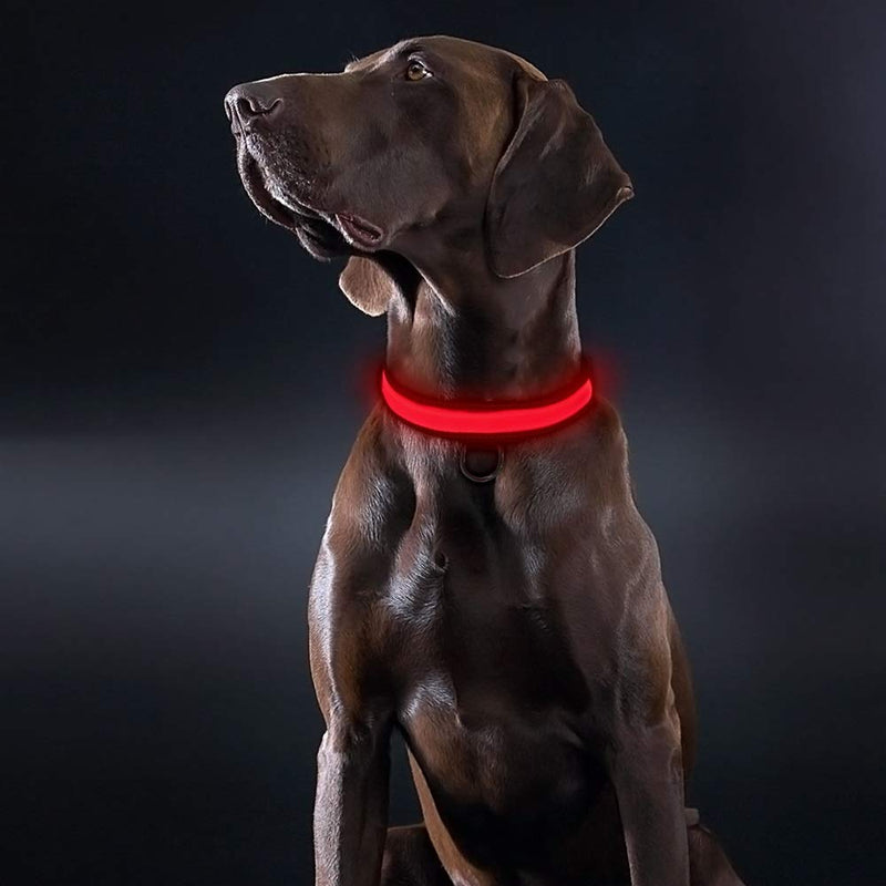 HOTDOG Dog Collar for all weather types, year round, Nylon collar with Night light, LED Lights, Super Bright Flashing Collar for Walking Dogs at Night… (Large, Red) Large - PawsPlanet Australia