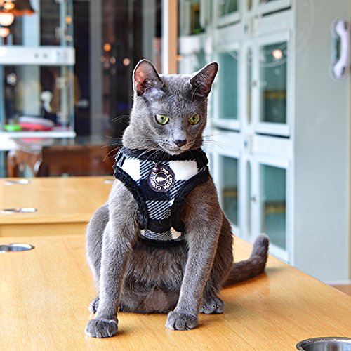 [Australia] - CATSPIA Figaro Harness C - Black - M 