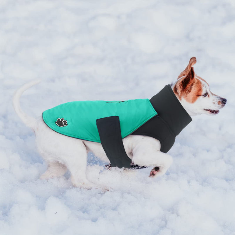 ALAGIRLS Dog Coat Winter Waterproof with Belly Protection, Reflective Warm Dog Jacket Winter Jacket with Leash Hole, Pet Clothes Outfit for Small Medium Dogs with Harness Hole, Turquoise MM (Chest Circumference: 50-62cm) Turquoise - PawsPlanet Australia