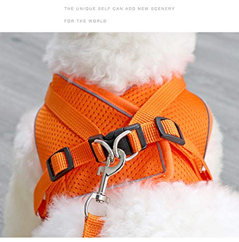 Puppy Dog harness with 1.5m leash, Reflective adjustable pet vest strap for puppy kitten, No pull safe harness for dog cat walking running training Breathable Chest Padded Escape proof M Orange - PawsPlanet Australia