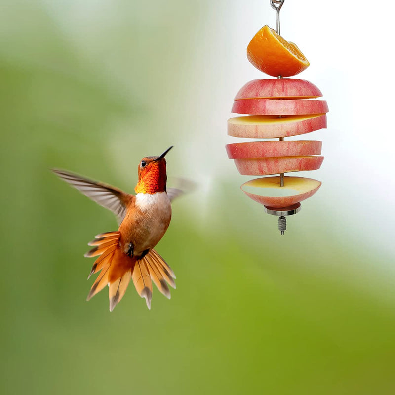 Bird Food Holder, Bird Feeder Toy, Foraging Toy, Bird Food Treat Skewer, Stainless Steel Parrot Fruit Vegetable Stick Holder (L) L - PawsPlanet Australia