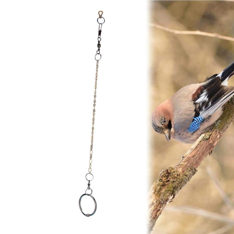 Birds Foot Chain Stainless Steel Parrot Anklet Chain Training Harness for Different Kinds and Sizes of Parrots(Agapornis) Agapornis - PawsPlanet Australia