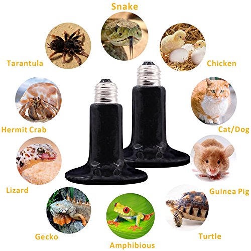 [Australia] - CTKcom 2-Pack 150W 110V Reptile Heat Lamp Ceramic Infrared Heat Emitter Bulb Pet Lamp,No Harm No Light Infrared Heat Emitter Brooder Lamp Pet Coop Heater Reptile Chicken Turtle Heat Lighting,Black 