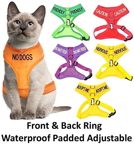 [Australia] - Dexil Color Coded Cat Harness Warning Alert Vest Padded and Water Resistant Let Others Know Your Cat in Advance Large-Xlarge Yellow NERVOUS 