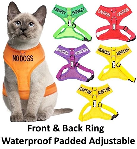 [Australia] - Dexil Color Coded Cat Harness Warning Alert Vest Padded and Water Resistant Yellow Adopt ME (L-XL) 