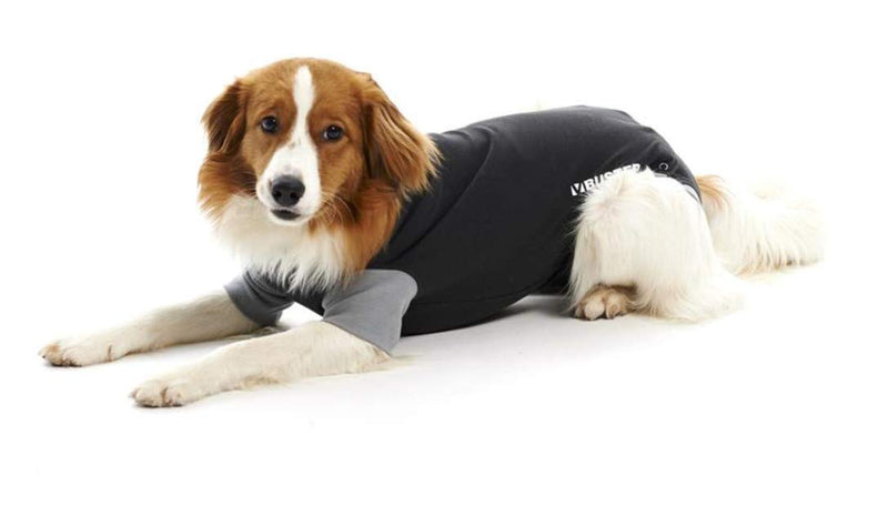 Buster Classic Body Suit for Dogs, X-Large, Black/Grey - PawsPlanet Australia