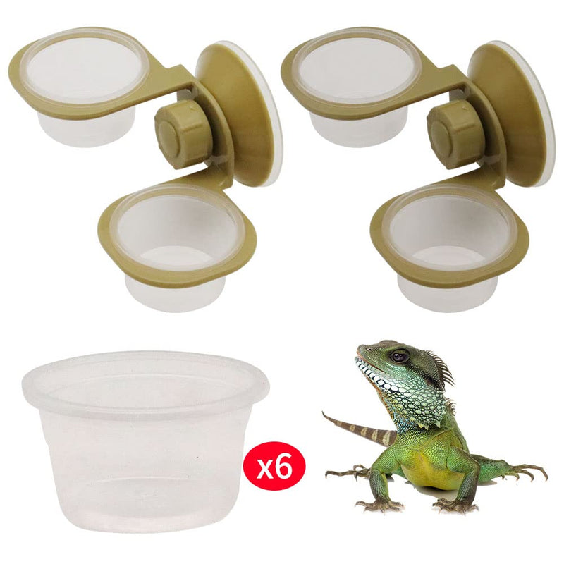2 Pack Reptile Feeder Gecko Lizard Feeding Cup with Suction Cup, Reptile Food Water Feeder Dish with 6 pcs Cups for Geckos,Chameleon Lizard Double - PawsPlanet Australia