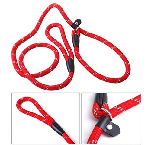 erioctry Pet Dog Nylon Adjustable Loop Slip Traning Leash Lead Rope Slip Dog Leash and Collar 1.2m Red - PawsPlanet Australia