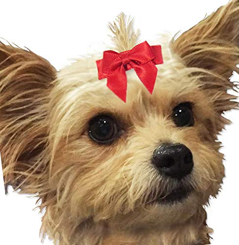 HipGirl Cute Puppy Dog Bows Girl, Dog Hair Clips- Girl Dogs Accessories and Puppy Accessories, Pet Grooming Products. Assorted Pack to Match Girl Dog Clothes Satin Mini Bow Clips-1" Wide - PawsPlanet Australia