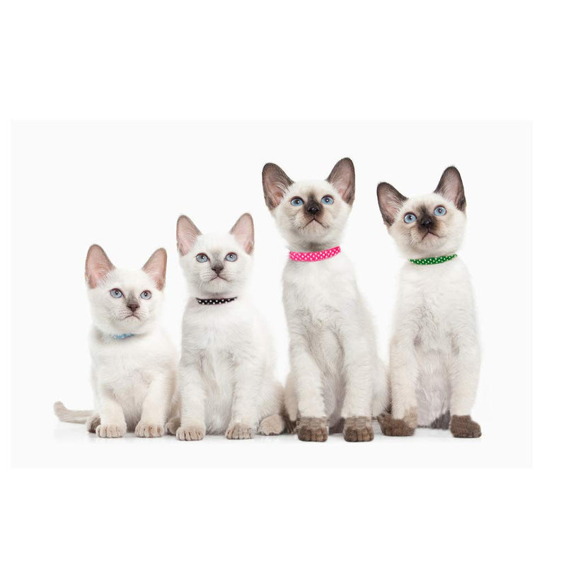 [Australia] - PUPTECK Breakaway Cat Collar - 6 pcs Spots Adjustable Collars with Bell Fit Kitty Puppy 