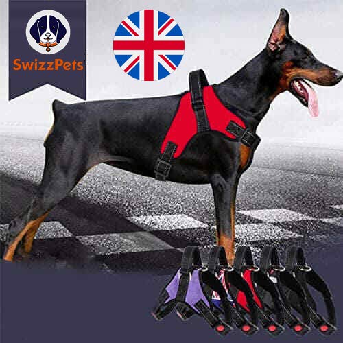 Non Pull Dog Harness Adjustable Pet Puppy Walking Strap Vest Soft Chest Belt UK SWIZZPETS (RED, MEDIUM) RED - PawsPlanet Australia