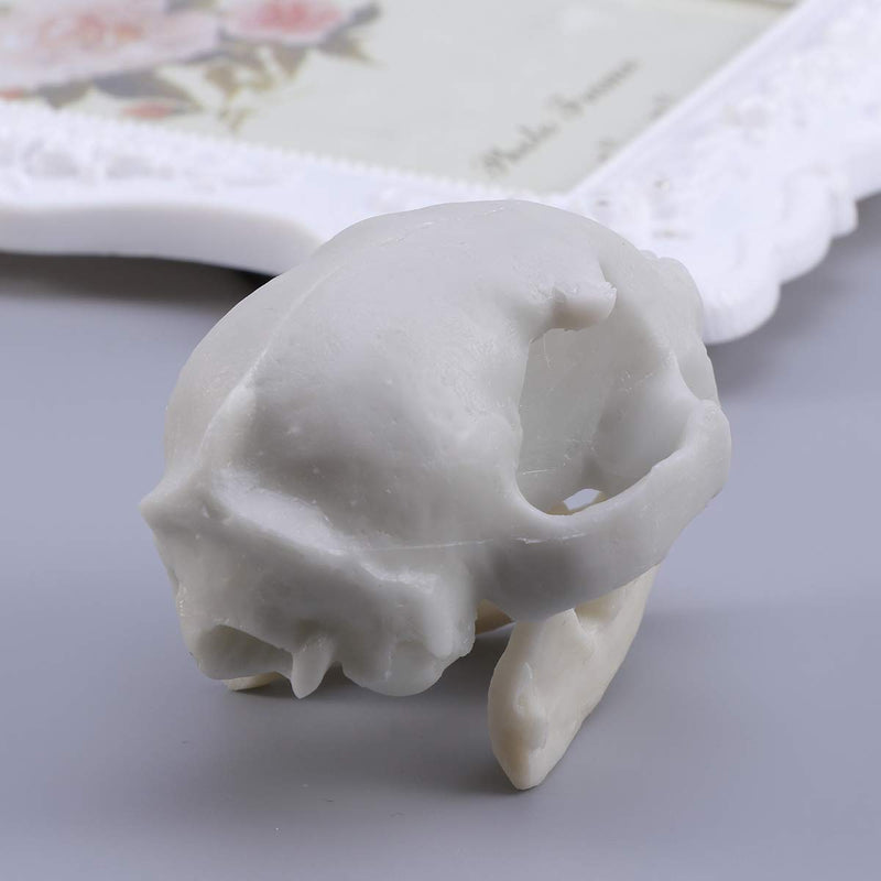 [Australia] - WINOMO Resin Fortune Cat Skull Skeleton Model 