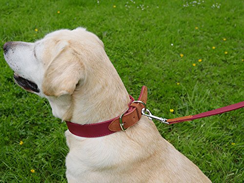 Rosewood Luxury Leather Dog Collar, 12-16inch, soft touch red - PawsPlanet Australia